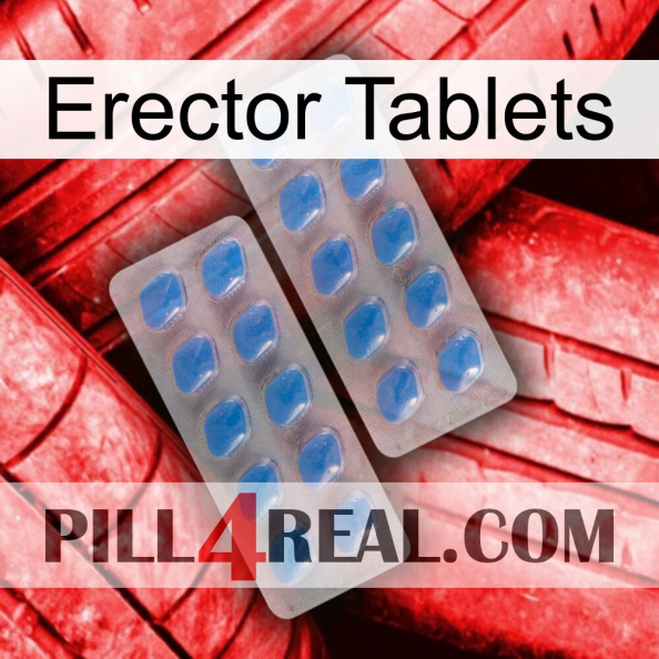 Erector Tablets 23.jpg